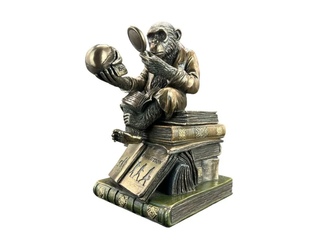 Coffret Évolution du chimpanzé WU76129A4 - Figurine de collection Veronese - 13