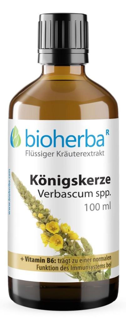 Bioherba Königskerze Verbascum spp. 100 ml Tropfen Tinktur Produktbild 