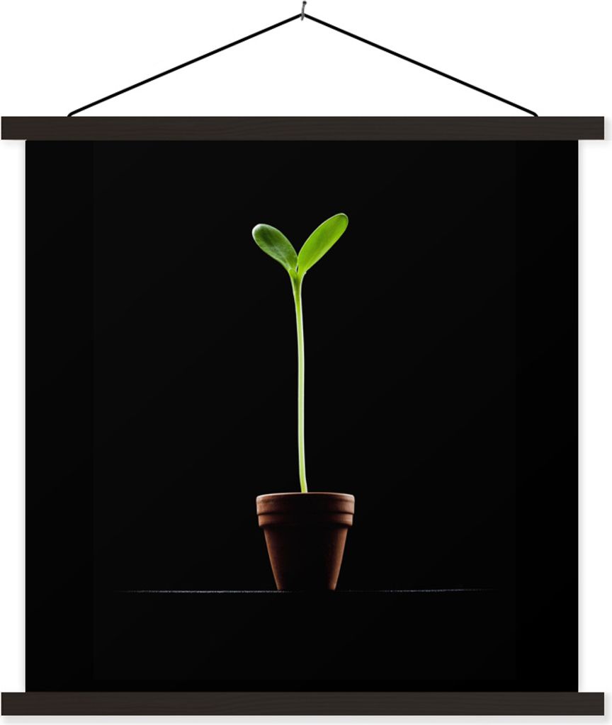MuchoWow® Textilposter Eine junge Sonnenblume in einem Produktbild 