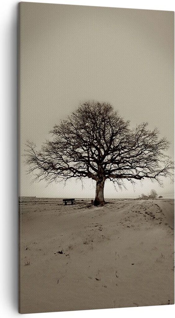 Bild auf Leinwand - Leinwandbild - Einteilig - Baum Schnee Sepia - 45x80cm - Wand Bild - Wanddeko - Wandbilder - Leinwanddruck - Bilder - Wanddekor...