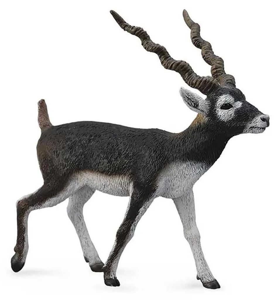 Figurine d'antilope blackbuck peinte à la main Image du produit 