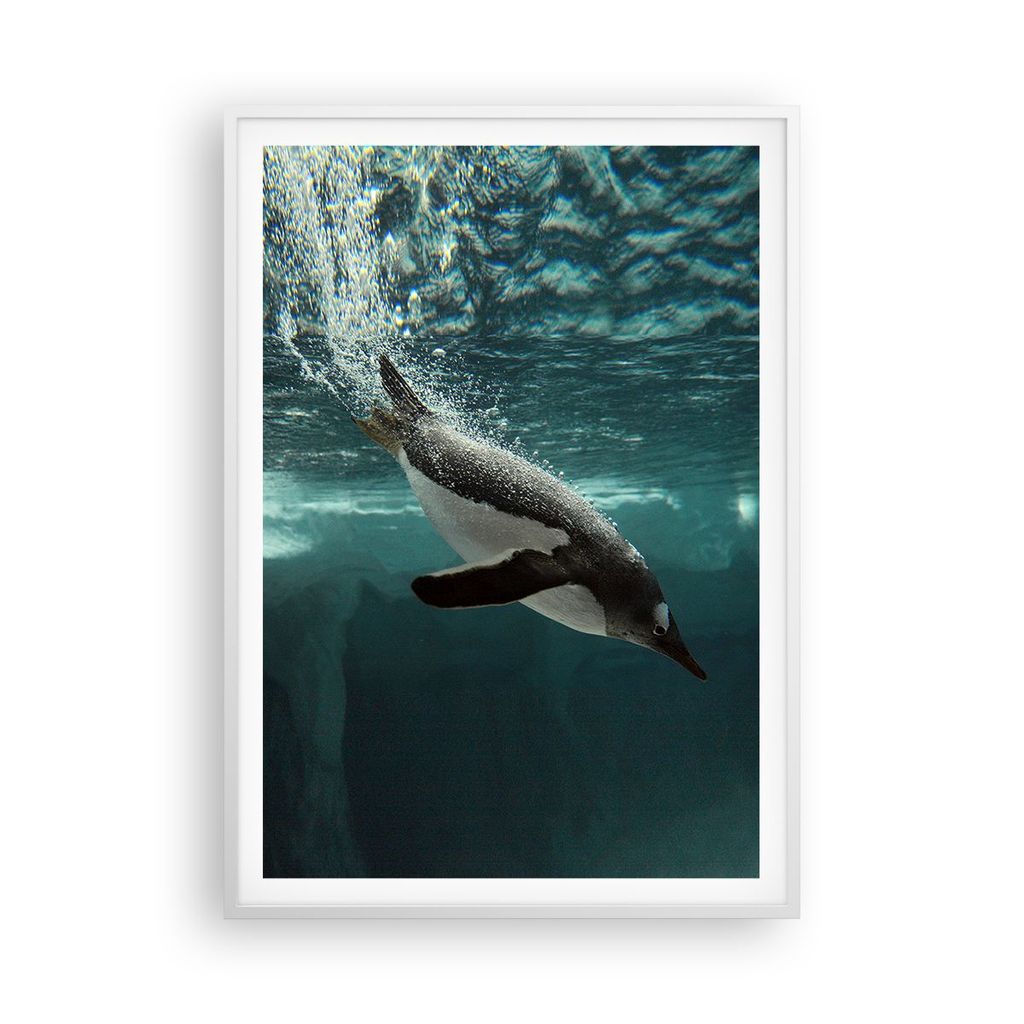 Gerahmtes Poster - Weißer Rahmen - Tauchen Pinguin Gletscher - 70x100 cm - Wand Bild - Wanddeko - Wandbilder - Wandposter - Bilderrahmen - Bilder ...