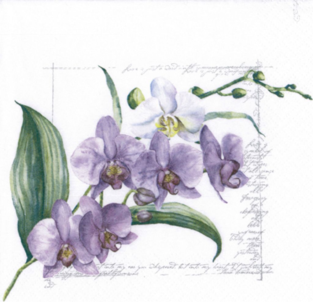 Servietten Papier 33x33cm 3-lag. Orchideen Blumenmotiv 20 Stk. Violett