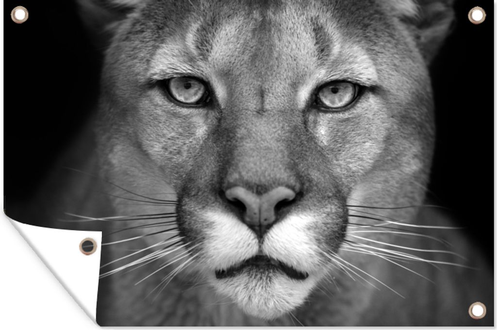 MuchoWow 60x40 cm Outdoor-Poster Gartendeko Sichtschutz Garten Poster für den Garten Panther - Wildlife - Schwarz - Weiß