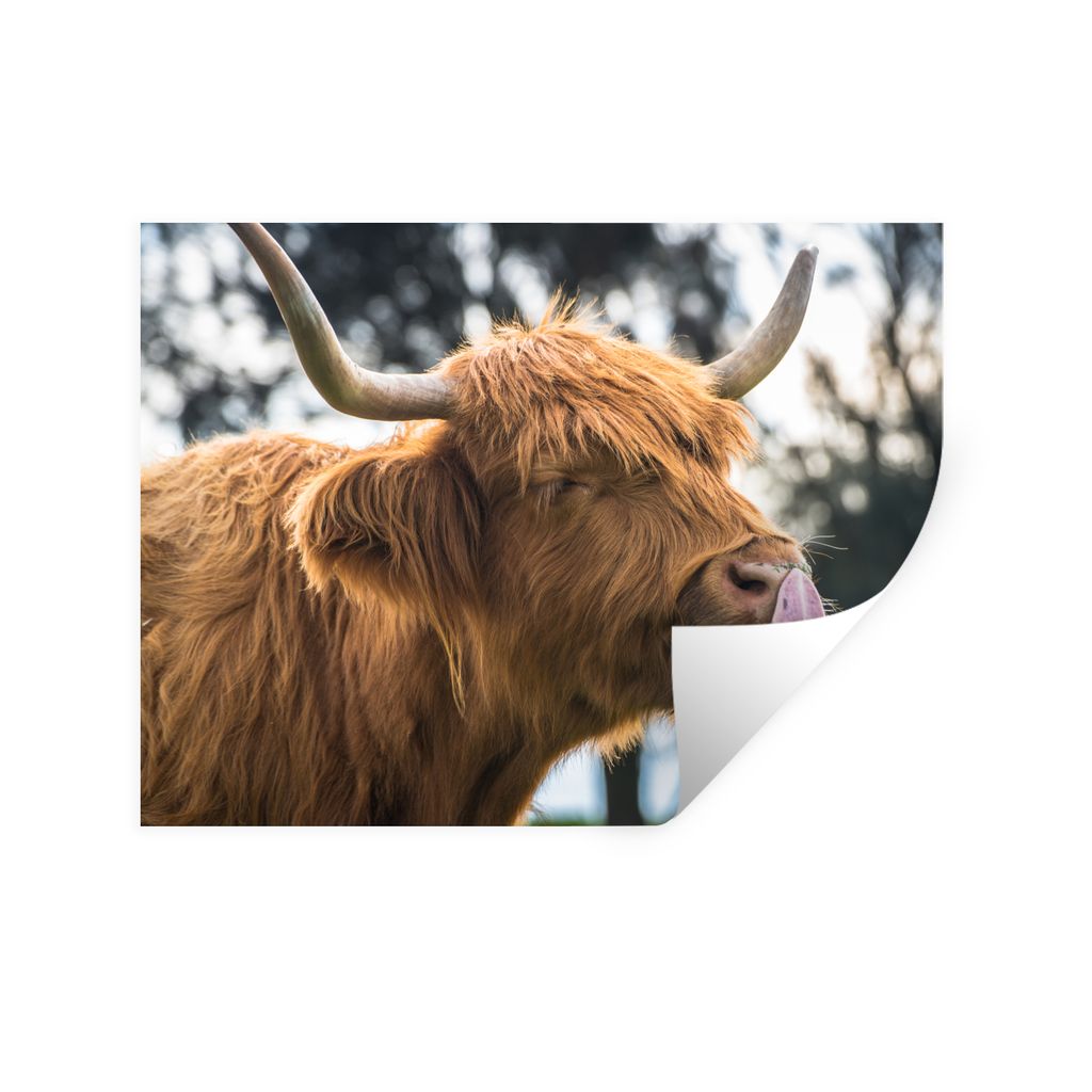 MuchoWow Wandtattoo Wandsticker Wandaufkleber Schottischer Highlander - Nase - Baum 120x90 cm Selbstklebend und Repositionierbar - Aufkleber