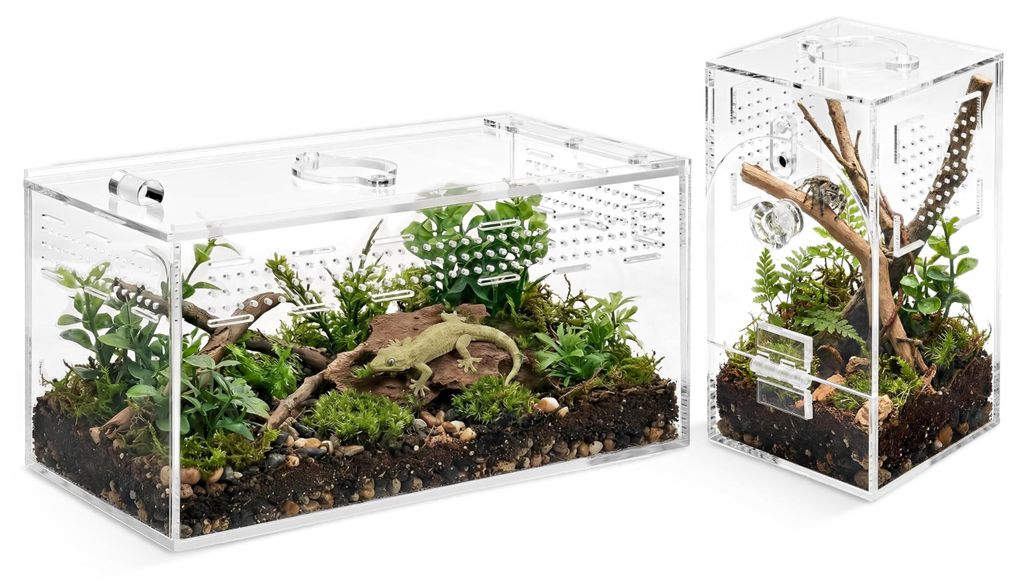 Solidchoice - Acryl Terrarium voor Springspinnen, Set van 2 Productafbeelding 