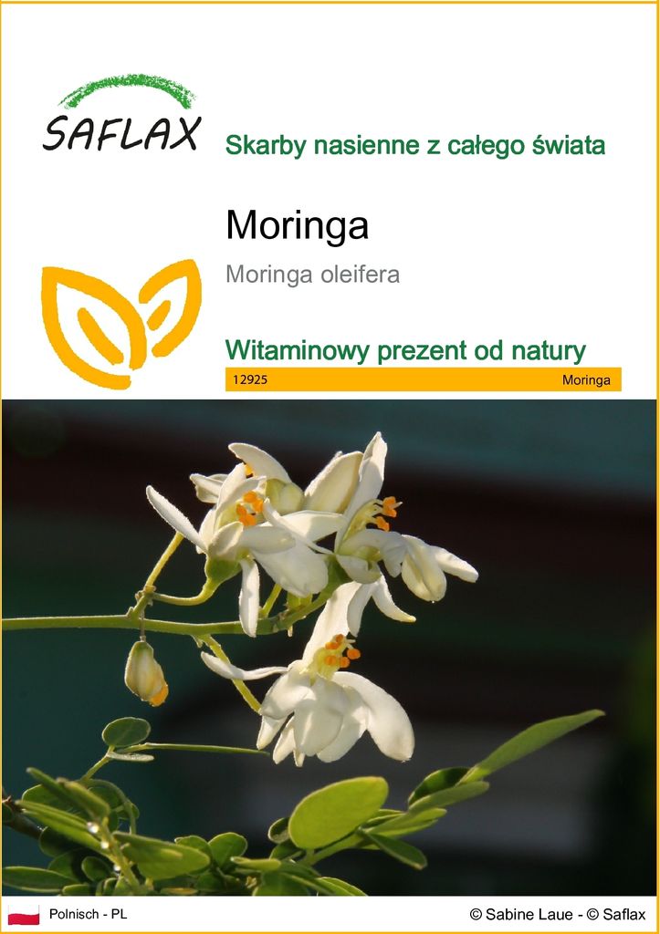 SAFLAX - Moringa - 10 Nasiona - Moringa oleifera Zdjęcie produktu 