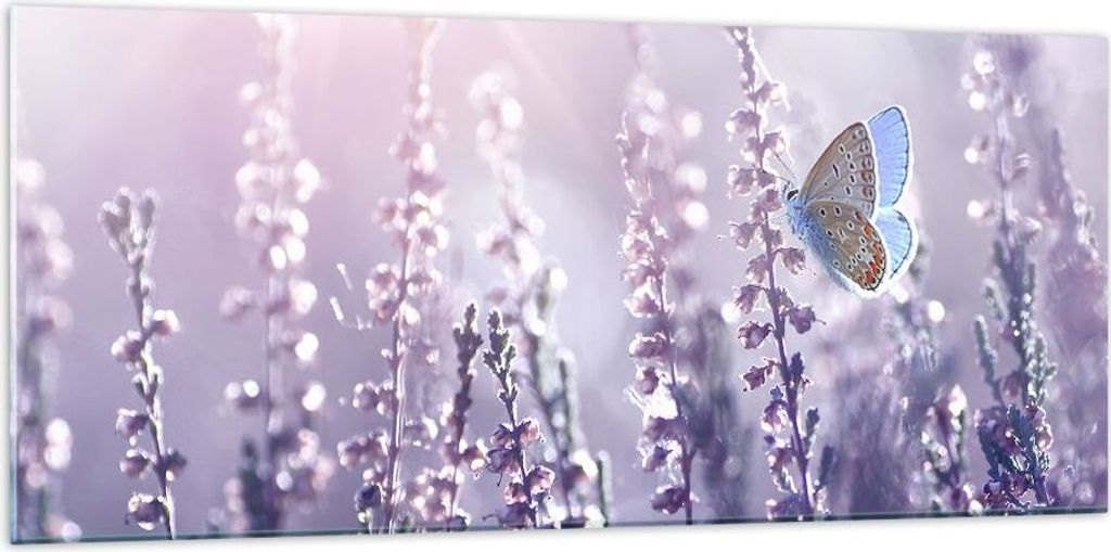 Bilder auf glas - Schmetterling Wiese Blume - 120x50cm - Glasbilder - Wandbilder - Kunstdruck - zum Aufhängen bereit - Wanddekoration aus Glas - G...