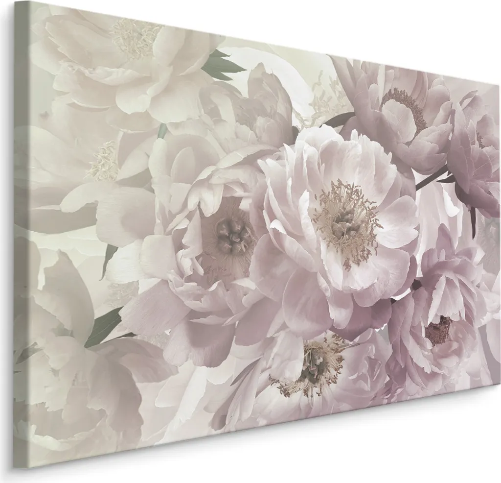 Offerta Tela 70x50 Peonie SCREEN PICTURES - Stampa d'Arte XXL