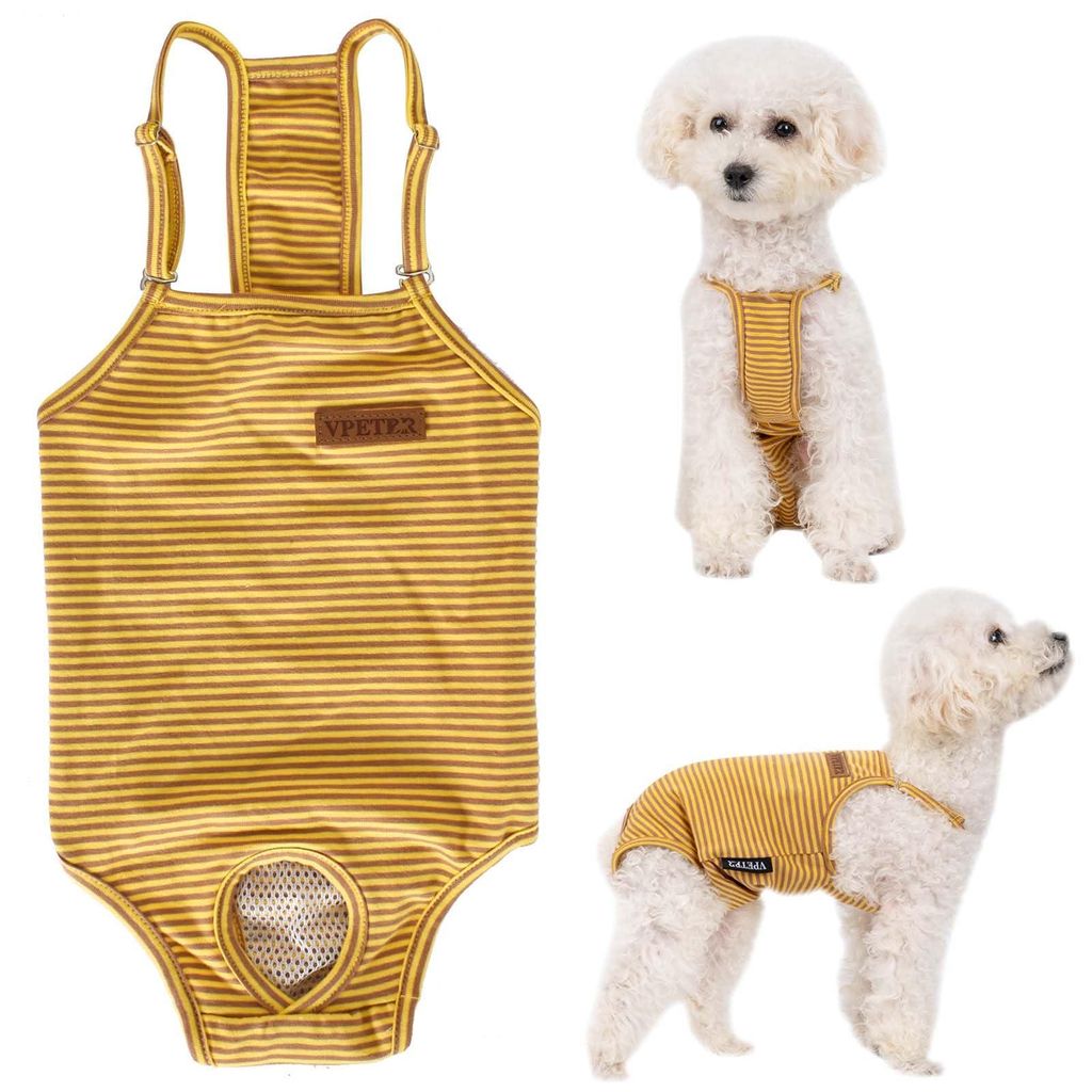 Wiederverwendbare Hundehose für Hündinnen – Waschbare und Produktbild 