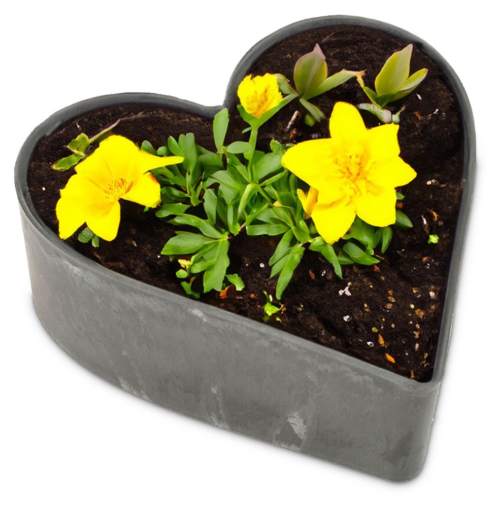 Fioriera a cuore vintage nera 22 x 20 cm Decorazione Immagine del prodotto 