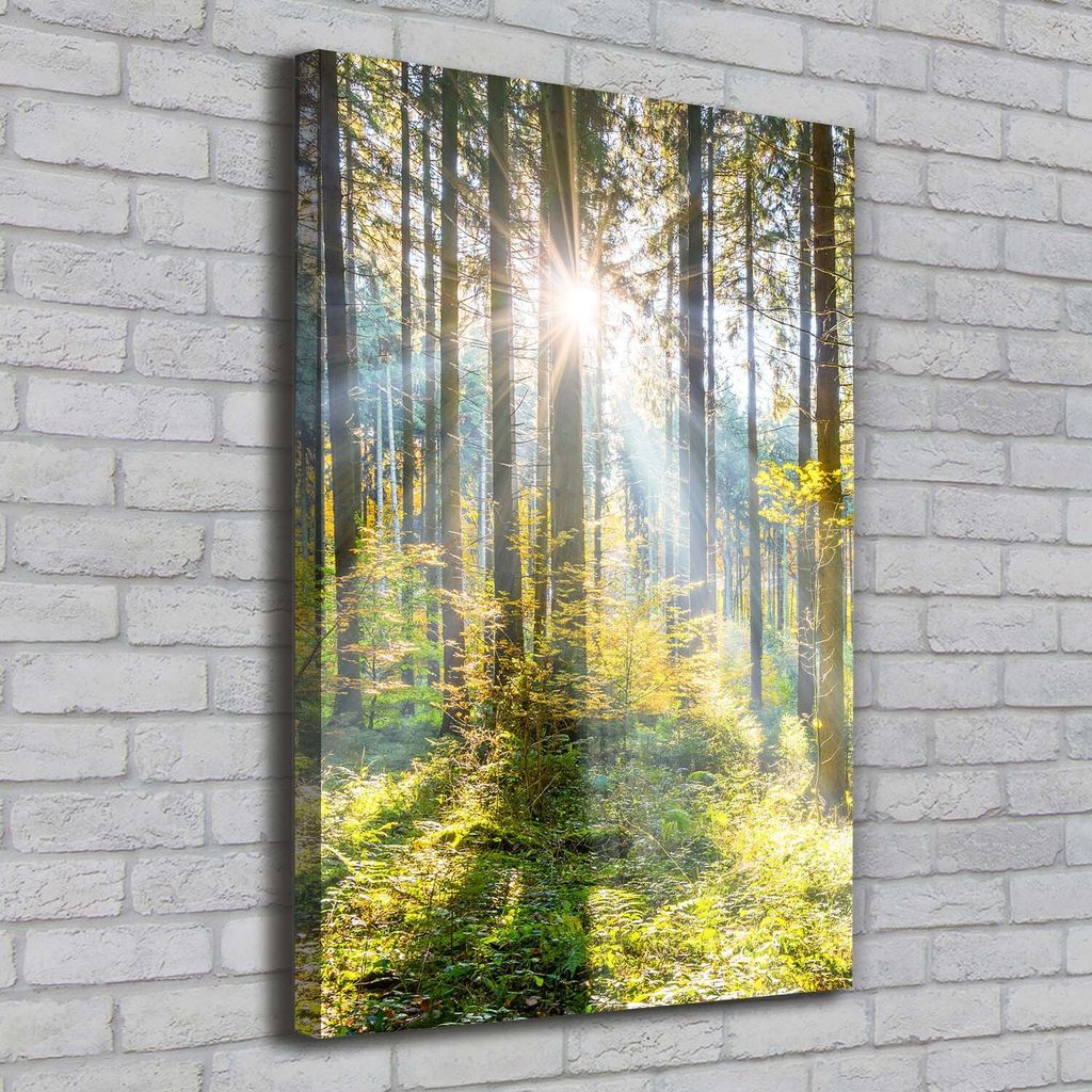 Tulup Leinwandbild - 70x100cm - Wandkunst - Drucke auf Leinwand - Leinwanddruck - Wohnzimmer Wanddekoration XXL - Wohnung Deko Kunstdrucke - Land...