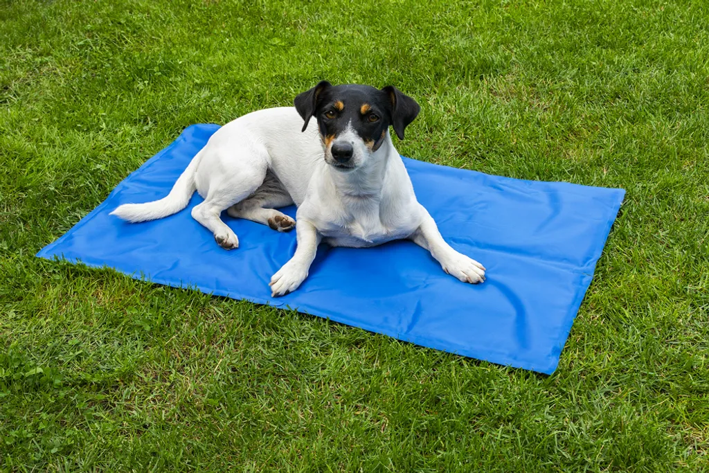 Materassino Freddo Cane ProPet 81x96 | Proteggi il tuo Amico dal Sole