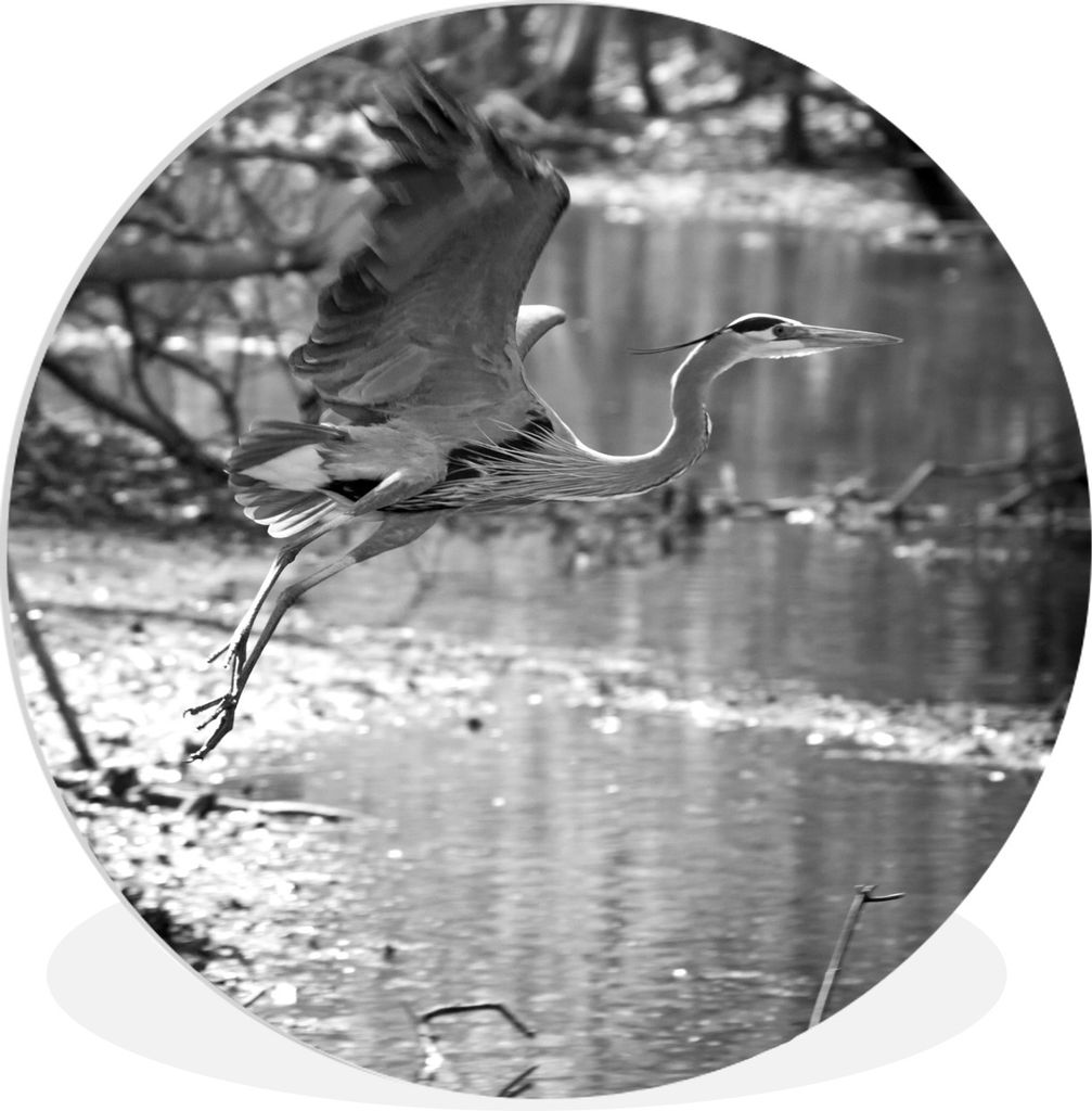 MuchoWow Rundes Wandbild - Runde Bilder Reiher fliegt weg - schwarz und weiß Ø 90 cm Kreis Wanddekoration Kunststoff - Wandkreis - Wandschmuck ...