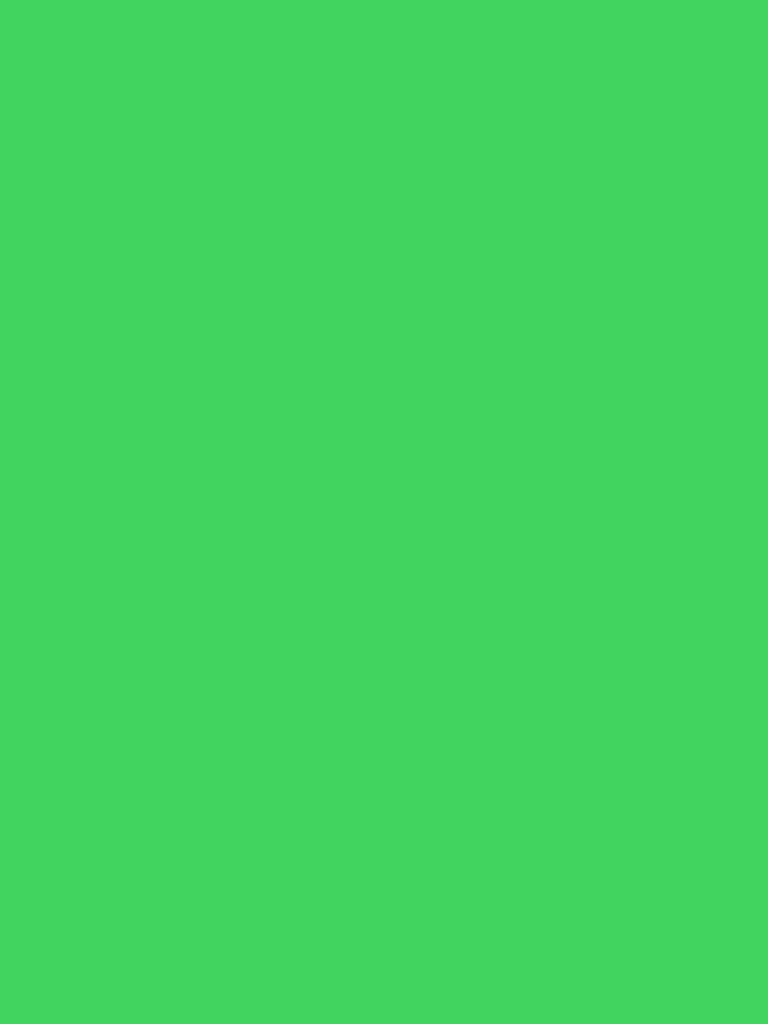 Clairefontaine Pack 25 Bögen Plakatpapier, 60x80cm, 90g - Minze 384522C