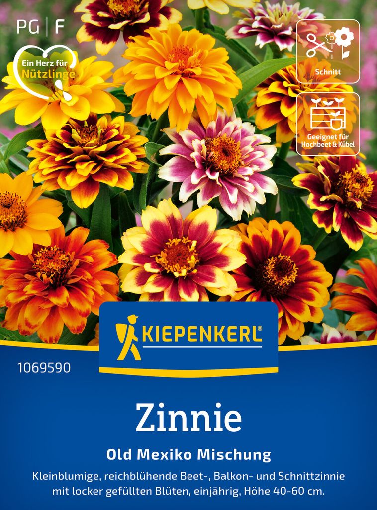 Kiepenkerl Zinniensamen Old Mexiko Zinnia angustifolia 80 Pflanzen