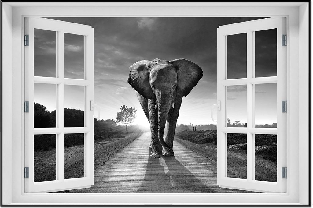 Wallario Wandbild mit Fenster-Illusion: Elefant bei Sonnenaufgang in Afrika schwarzweiß, Größe: 61 x 91,5 cm, Poster mit schwarzem Aluminiumrahmen