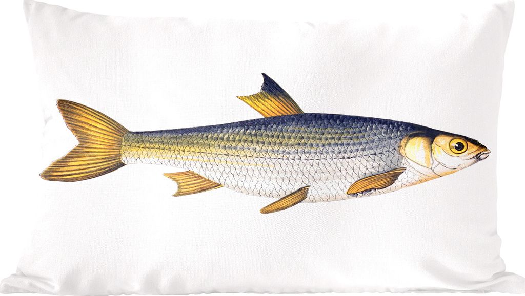 MuchoWow Zierkissen Sofakissen Wohnzimmer Dekokissen 50x30 cm Karpfen - Fisch - Meer - Wohnzimmerdekoration - Polster mit Photo