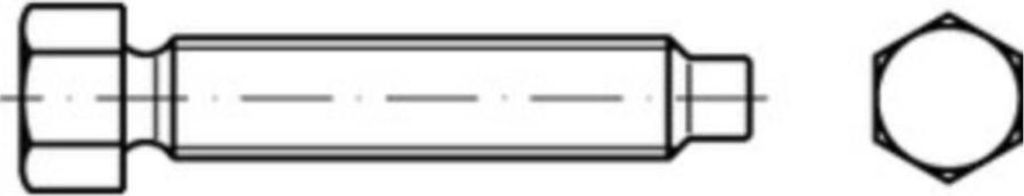 Reyher Sechskantschrauben DIN 561 22H/8.8 AM 12x45 vz Zn (25 Stück)