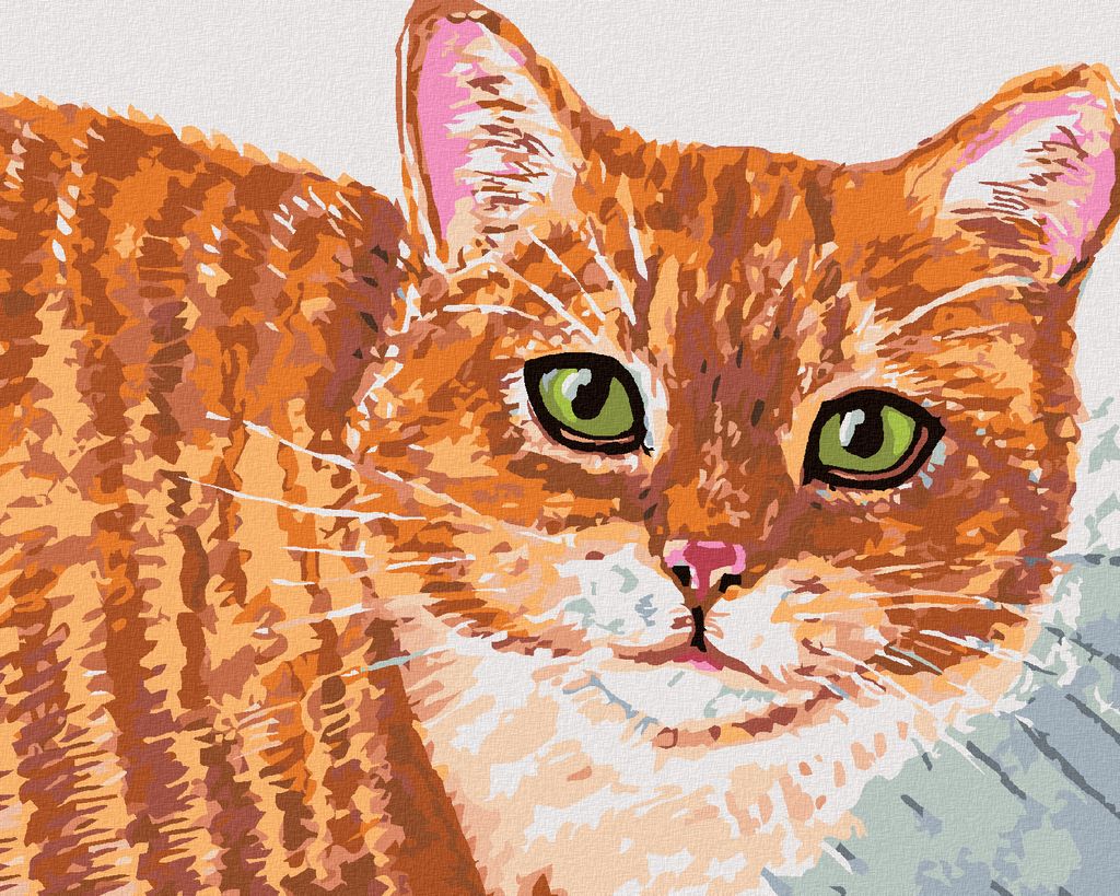 Zuty - Malen nach Zahlen - BEIGE KATZE UND GRÜNE AUGEN, 40x50 cm, mit Keilrahmen (bereits gespannt)