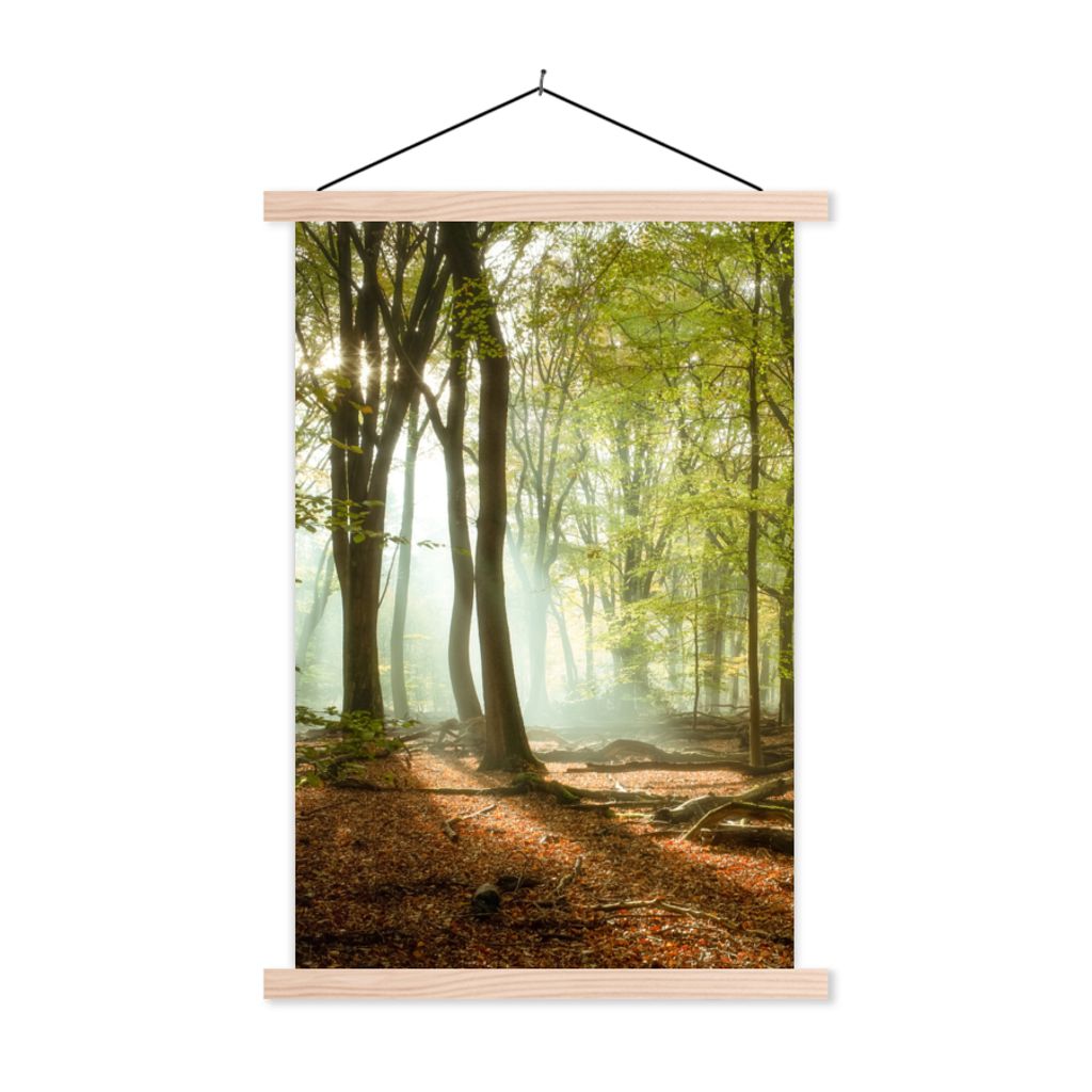 MuchoWow Textilposter Wald - Sonne - Jahreszeiten - Landschaft 120x180 cm mit holzfarbenen Rahmen - Textil-Plakat