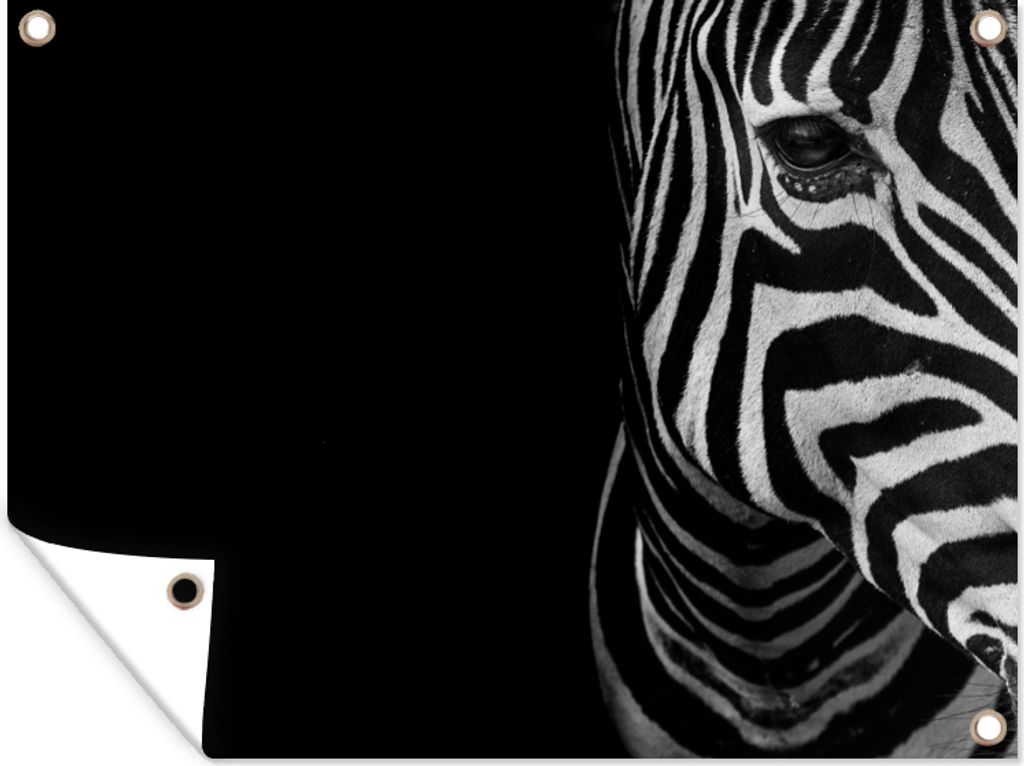 MuchoWow 80x60 cm Outdoor-Poster Gartendeko Sichtschutz Garten Poster für den Garten Tiere - Zebra - Schwarz - Weiß