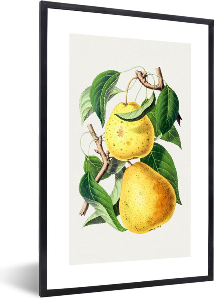 MuchoWow Gerahmtes Poster Birnen - Lebensmittel - Obst 60x90 cm - Poster mit Schwarzem Bilderrahmen Wandposter Rahmen Foto Bilder - Kunst