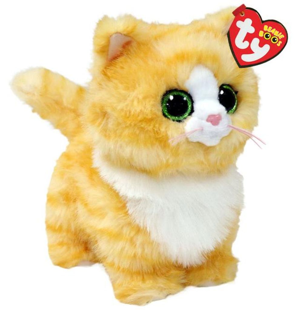 TyDeutschland Beanie Babies Katze orange Sonstige Sonstige