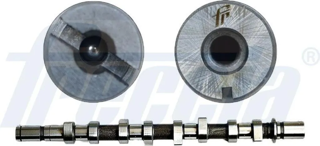 Dettagli Tecnici Albero a Camme FRECCIA CM05-2151 | Ricambio 8200089894