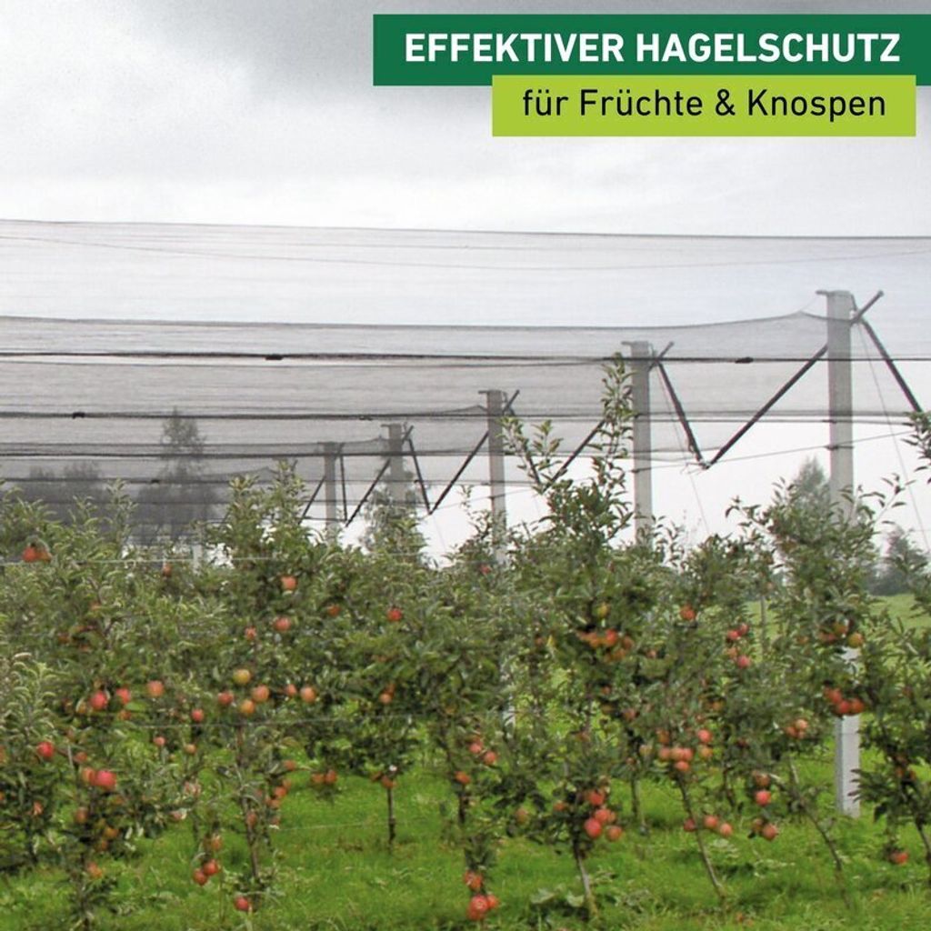 Hagel Schutznetz für Bäume & Weinreben 5x2m Produktbild 