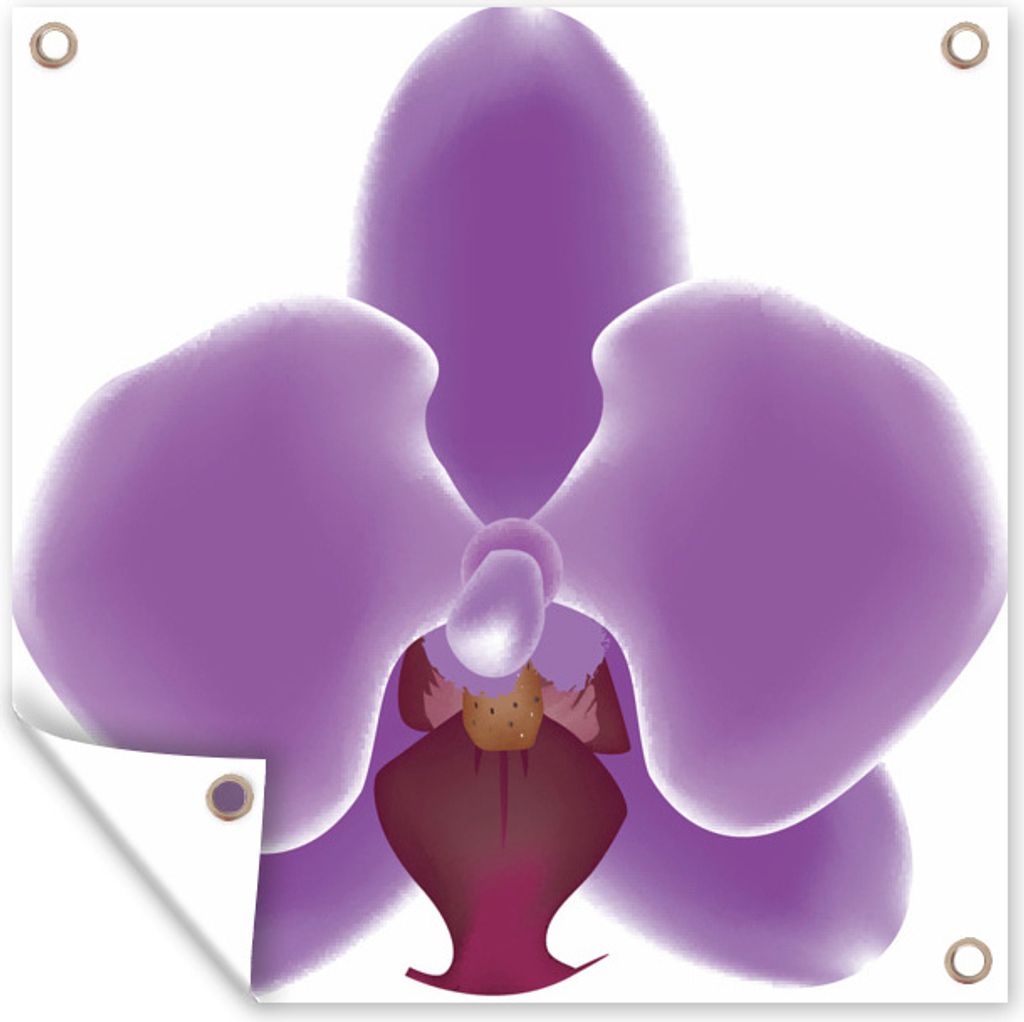 MuchoWow 50x50 cm Outdoor-Poster Gartendeko Sichtschutz Garten Poster für den Garten Eine Illustration einer lila Orchidee auf weißem Hintergrund