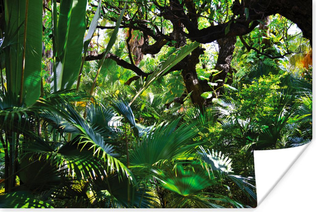 MuchoWow Poster Schöne Muster von Blättern und Bäumen in einem Regenwald 180x120 cm - Fotoplakat