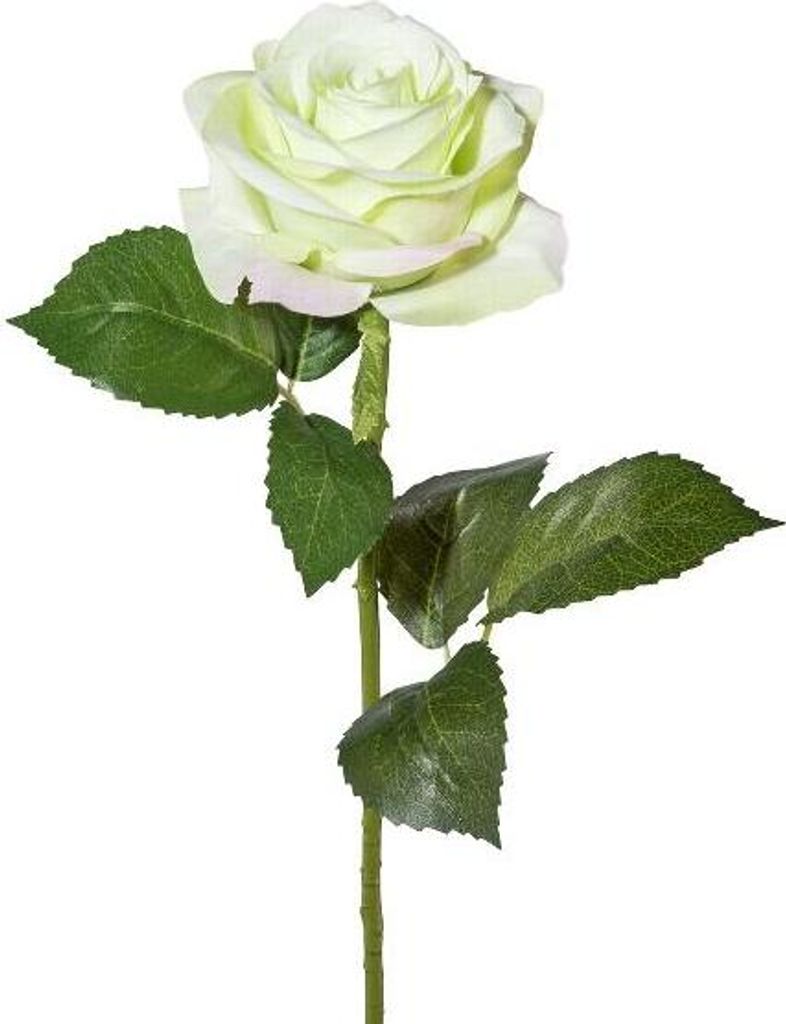 artplants.de Kunst Blume Rose ETAVOL, weiß-grün, 55cm - Künstliche Rose