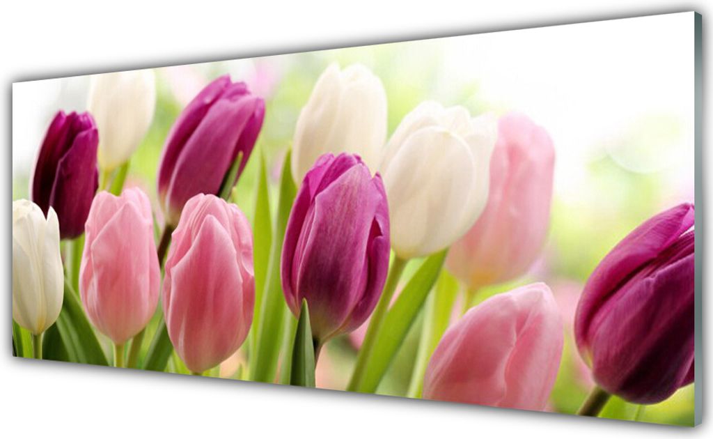 Acrylglasbilder 125x50 Wandbild Druck Tulpen Pflanzen