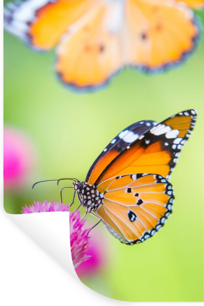 MuchoWow Wandtattoo Wandsticker Wandaufkleber Insekten - Schmetterlinge - Blumen 60x90 cm Selbstklebend und Repositionierbar - Sticker - Dekorfolie