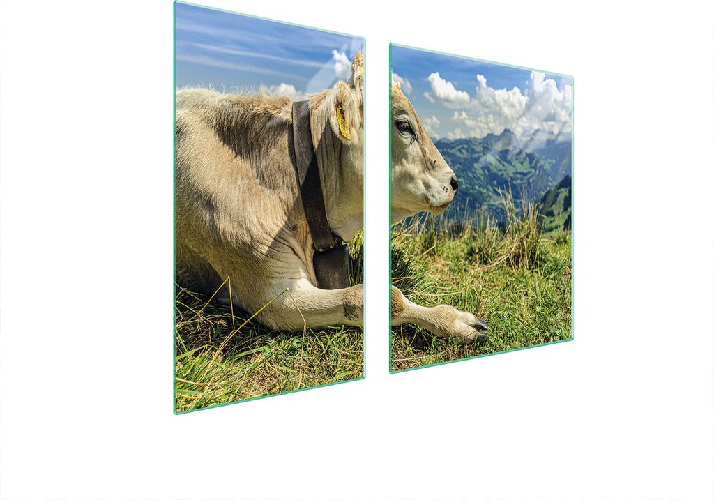 Glasplatte und Schneidebrett 100x52 Kuh