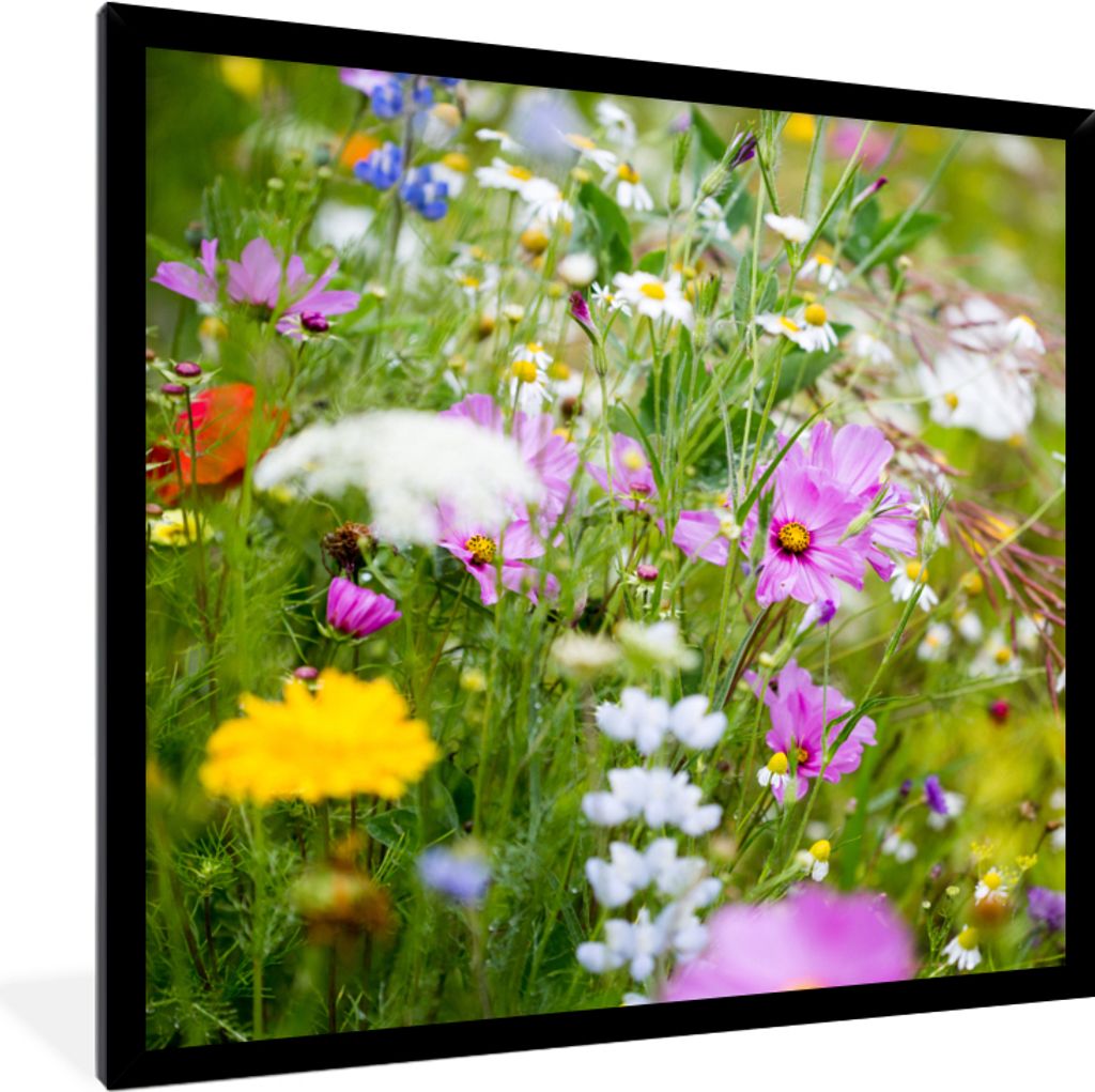 MuchoWow Gerahmtes Poster Blumen - Natur - Grün - Gras - Lila - Weiß 40x40 cm - Poster mit Schwarzem Bilderrahmen Wandposter Rahmen Foto Bilder...