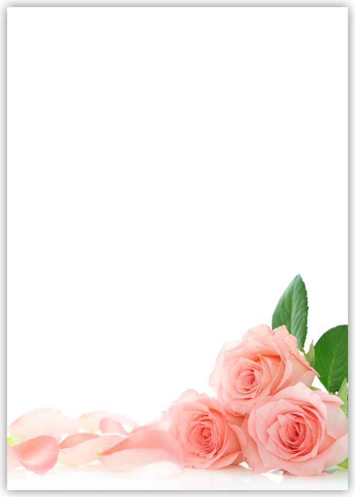 Motiv Briefpapier (rosa Rosen-5024, DIN A4, 25 Blatt). Einseitig bedrucktes Briefpapier, beschreibbar, Motivpapier für alle Drucker/Kopierer geeig...