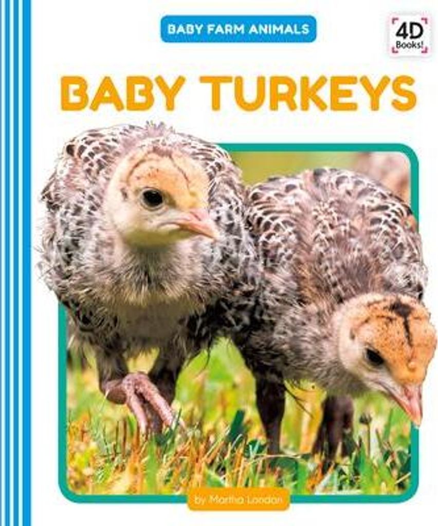 Baby Turkeys
