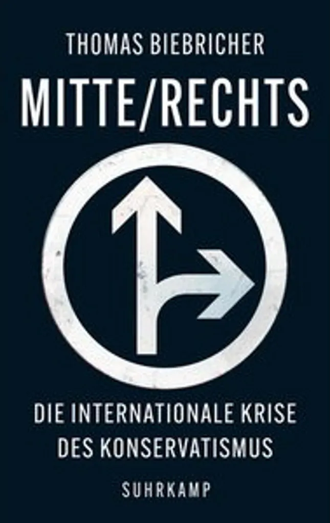 Rangement d'Angle Extractible Mitte Rechts pour Placard Bas de Cuisine