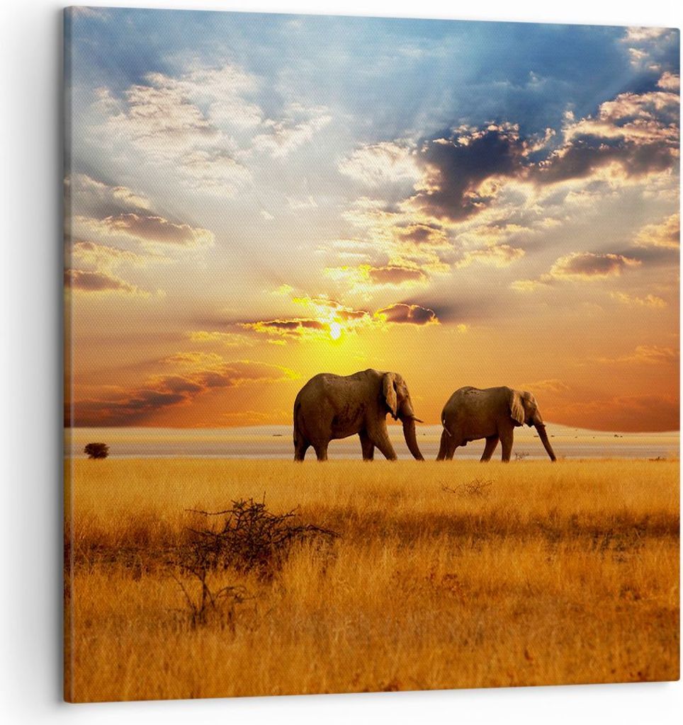 Bild auf Leinwand - Leinwandbild - Elefanten Safari Dschungel Busch - 50x50cm - Wand Bild - Wanddeko - Leinwanddruck - Bilder - Kunstdruck - Wandde...