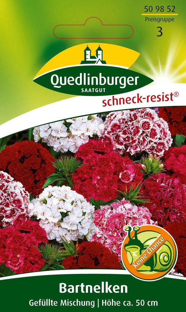 Bartnelke 'Gefüllte Mischung' Quedlinburger Blumensamen