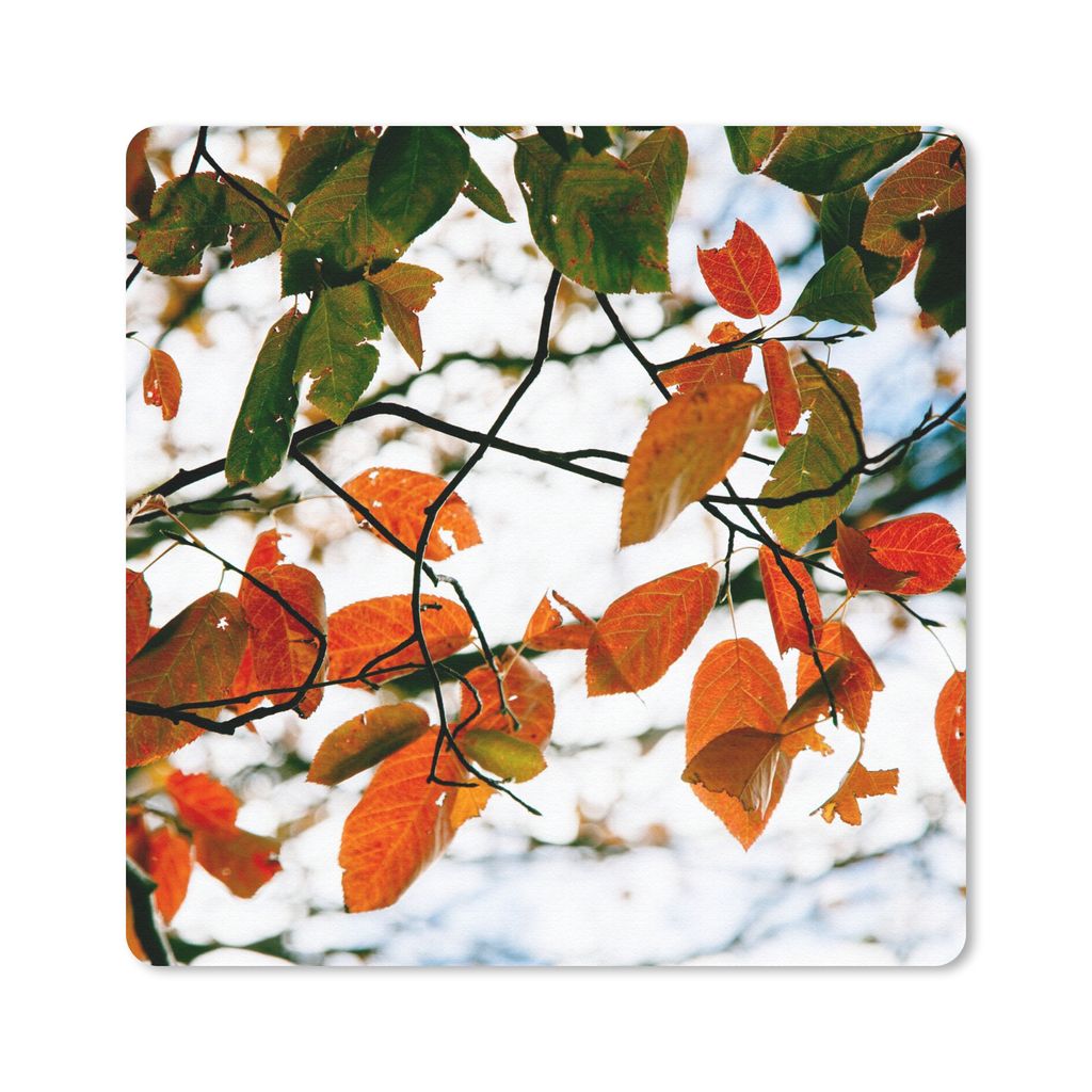 MuchoWow Mauspad Mousepad Herbst - Blätter - Landleben - Jahreszeiten 20x20 cm - Mousepads - Maus Mat - Pad - Mausunterlage - Desk Mat - Bureaua...