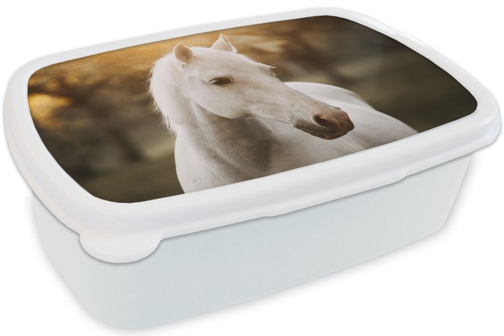 KitchenYeah Lunchbox Brotzeit Brotdose 17x11 cm Pferd - Sonne - Herbst - Tiere - Natur Kinder Brotzeitdose - Lunch Box - Kinder - Sandwich-Box - ...