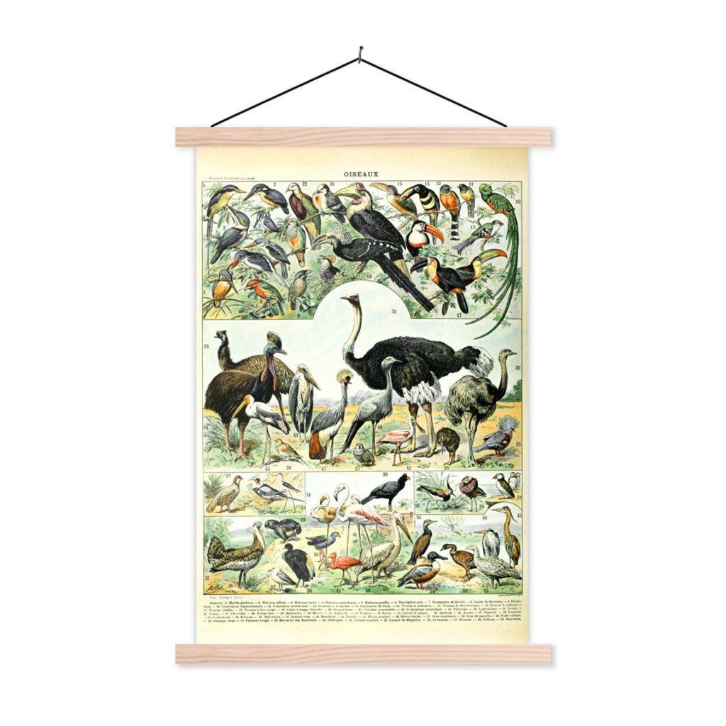 MuchoWow Textilposter Tiere - Vögel - Design 120x180 cm mit holzfarbenen Rahmen - Textil-Plakat