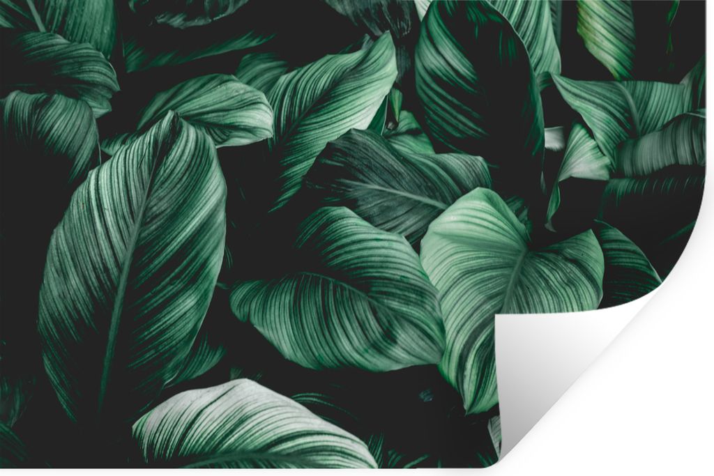 MuchoWow Wandtattoo Wandsticker Wandaufkleber Dschungel - Blätter - Tropisch - Pflanzen - Natur 90x60 cm Selbstklebend und Repositionierbar - Au...