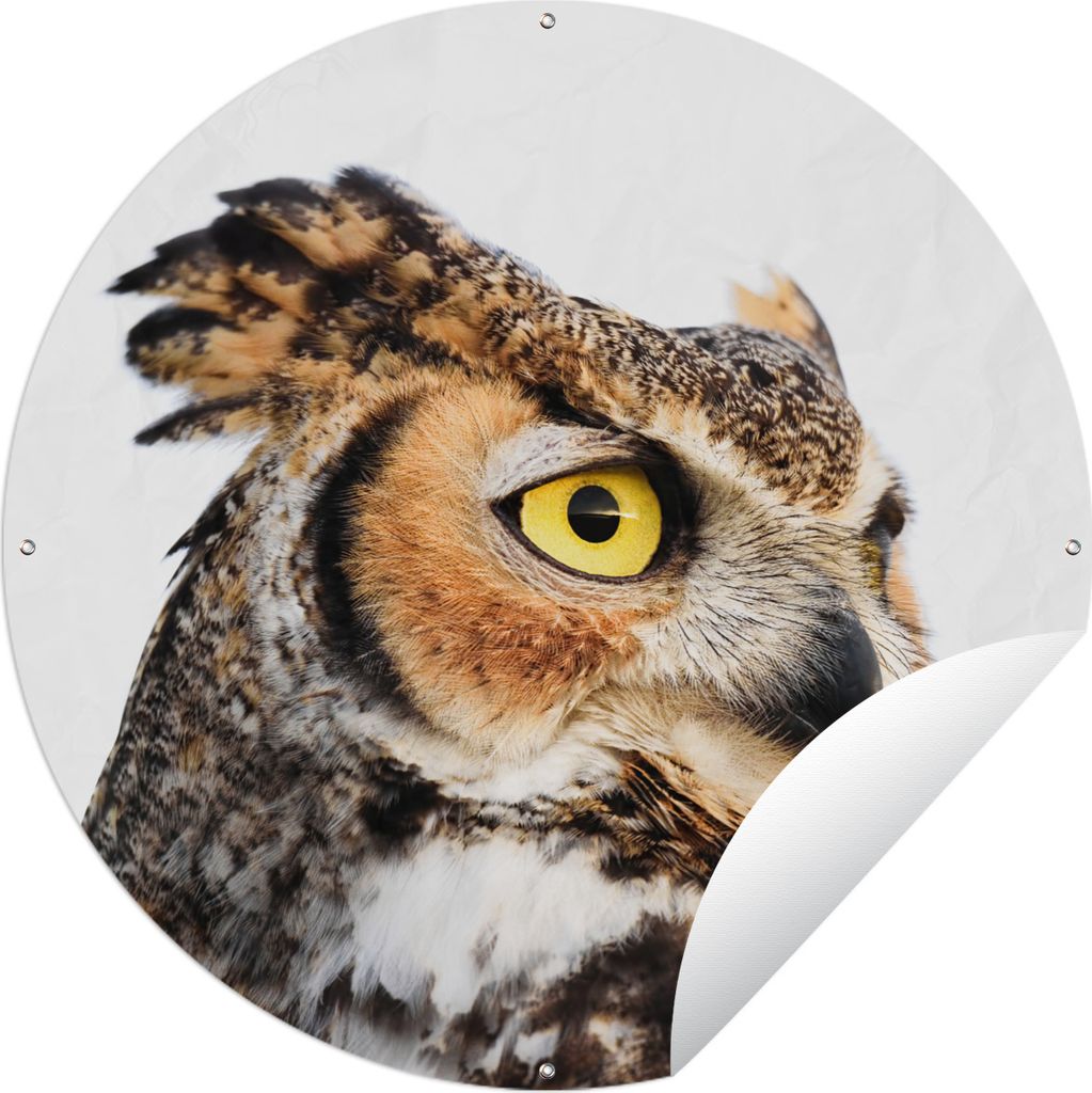MuchoWow Gartenposter Outdoor-Poster Rund Braune Eule mit weißem Hintergrund Ø 150 cm Gartendeko Rundes Poster draußen