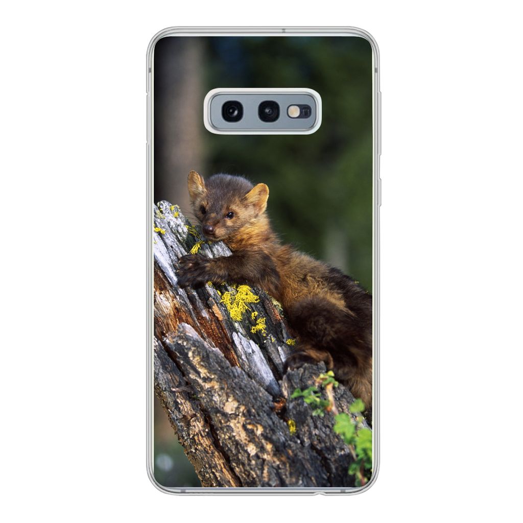 MuchoWow Handyhülle Schutzhülle Hülle für Samsung Galaxy S10e Marder - Baum - Wald Silikon Softcase Handy Hülle - Handy