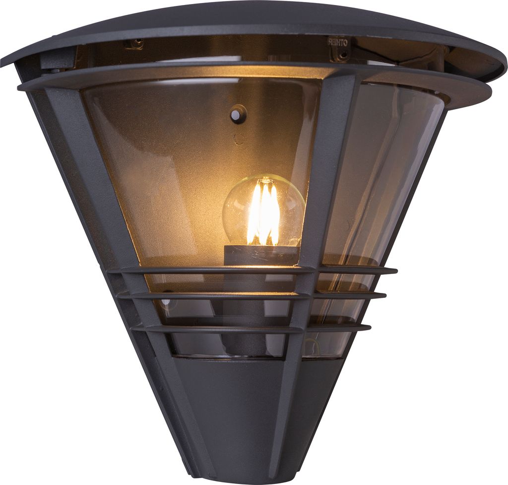 A dark gray outdoor light fixture with a clear glass shade and a visible light bulb.