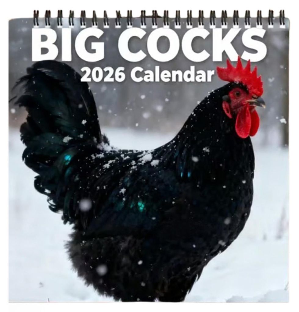 Lustiger Hahnenkalender 2026 – Monatlicher Wandkalender mit witzigen Hahnenfotos, dickem Papier, Drahtbindung, ideal als Bürogeschenk.